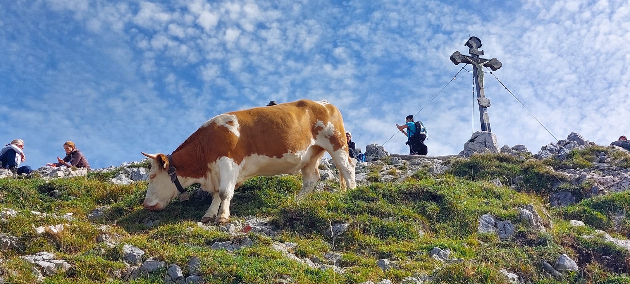 Wandern