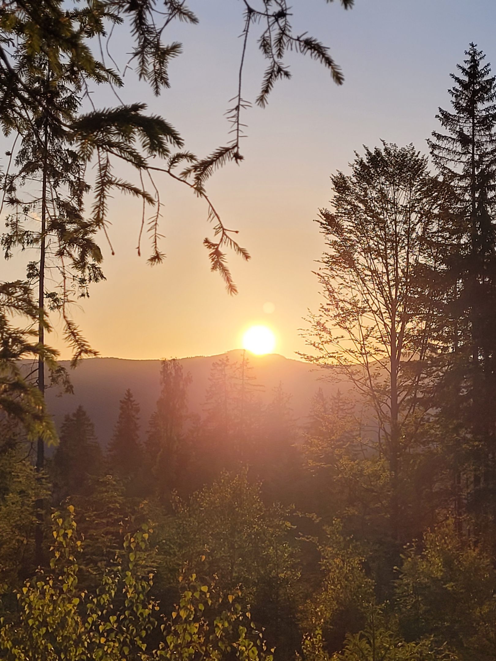 Neue Kurseinheit: Stressreduktion und Entspannung durch (Berg-)Wandern 