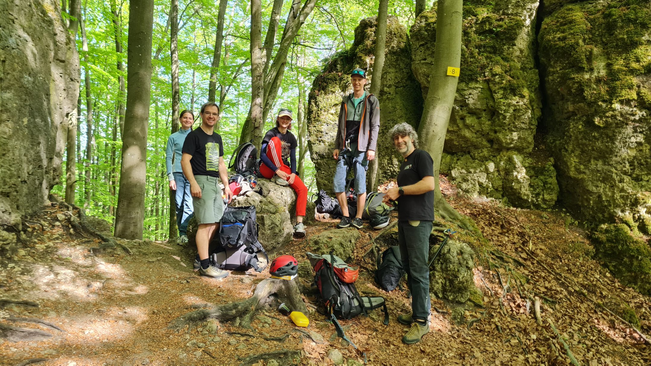Von der Halle an den Fels - Kurs im Birgland